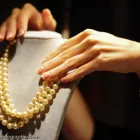 Business 26 image CHAREL SCHREUDER PHOTOGRAPHY Wildlife Photographer in Somerset West WC