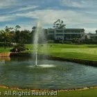 Business 30 image CHAREL SCHREUDER PHOTOGRAPHY Wildlife Photographer in Somerset West WC