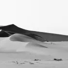 Business 31 image CHAREL SCHREUDER PHOTOGRAPHY Wildlife Photographer in Somerset West WC