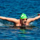 Business 37 image CHAREL SCHREUDER PHOTOGRAPHY Wildlife Photographer in Somerset West WC