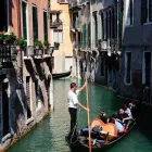 Business 44 image CHAREL SCHREUDER PHOTOGRAPHY Wildlife Photographer in Somerset West WC