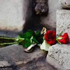 Business 46 image CHAREL SCHREUDER PHOTOGRAPHY Wildlife Photographer in Somerset West WC