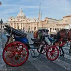 Business 47 image CHAREL SCHREUDER PHOTOGRAPHY Wildlife Photographer in Somerset West WC