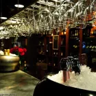 Business 49 image CHAREL SCHREUDER PHOTOGRAPHY Wildlife Photographer in Somerset West WC