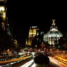 Business 51 image CHAREL SCHREUDER PHOTOGRAPHY Wildlife Photographer in Somerset West WC