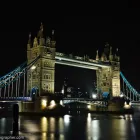 Business 60 image CHAREL SCHREUDER PHOTOGRAPHY Wildlife Photographer in Somerset West WC