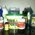 Business 1 image CHEMFIELD360 Window Cleaners in Florida GP