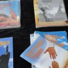 Business 3 image CHURCH OF SCIENTOLOGY Truth in Port Elizabeth EC