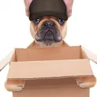 Business 2 image CLEAN MOVES Residential & Commercial in Msunduzi KZN