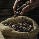 Maatskappy 1 beeld COCOALLEGRO Supplements in Simons Town WC