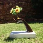 Business 3 image CREATIVE CONQUEROR Visual Stimulation in Cape Town WC