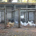 Business 9 image DE STALLEN Tourist Accomodation in Bloemfontein FS