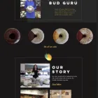 Business 1 image DEEP CORAL AGENCY website redesign company in Johannesburg GP