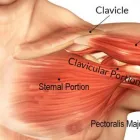 Maatskappy 3 beeld DEEP TISSUE  MASSAGE Somerset West Or -wes in Cape Town WC