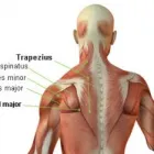 Maatskappy 2 beeld DEEP TISSUE  MASSAGE Somerset West Or -wes in Cape Town WC