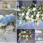 Business 9 image DELICATE ELEGANCE EVENTS Winelands Wedding in Cape Town WC