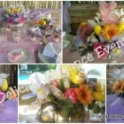 Business 11 image DELICATE ELEGANCE EVENTS Winelands Wedding in Cape Town WC