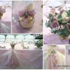 Business 12 image DELICATE ELEGANCE EVENTS Winelands Wedding in Cape Town WC