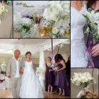 Business 13 image DELICATE ELEGANCE EVENTS Winelands Wedding in Cape Town WC