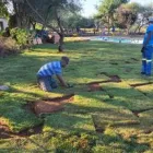 Maatskappy 2 beeld DESICH GARDEN Garden Landscapers in Northriding ZAF