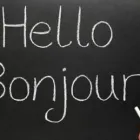 Business 5 image DILINGUA LANGUAGE SERVICES Website Content in Cape Town WC