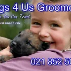 Business 3 image DOGS '4' US Pet Grooming in Cape Town WC