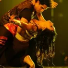 Business 1 image DOOR 6 ENTERTAINMENT Tribute Shows in Cape Town WC