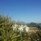 Business 5 image DORMERSHIRE WINE ESTATE Wine Tours in Cape Town WC