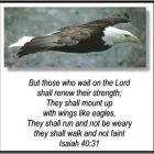 Maatskappy 1 beeld EAGLE TRANSCRIPTION & TRANSLATION SERVICES Work Guaranteed in Cape Town WC