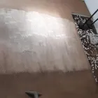 Business 1 image EDENVALE CARPET & UPHOLSTERY CLEANING Upholstery Cleaning Services in Edenvale GP