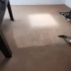 Business 7 image EDENVALE CARPET & UPHOLSTERY CLEANING Upholstery Cleaning Services in Edenvale GP