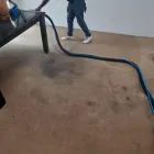 Business 8 image EDENVALE CARPET & UPHOLSTERY CLEANING Upholstery Cleaning Services in Edenvale GP