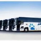 Business 2 image ELJOSA TRAVEL & TOURS (PTY) LTD Sports Events in Kraaifontein WC