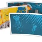 Maatskappy 2 beeld EPIC PRINT MUIZENBERG Wi-Fi Hotspot& 039 in Cape Town WC