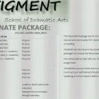 Business 3 image FIGMENT SCHOOL OF DRAMATIC ARTS Speech And Drama Training in Alberton GP
