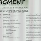 Business 7 image FIGMENT SCHOOL OF DRAMATIC ARTS Speech And Drama Training in Alberton GP