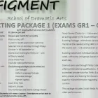 Business 11 image FIGMENT SCHOOL OF DRAMATIC ARTS Speech And Drama Training in Alberton GP