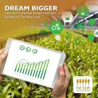 Maatskappy 6 beeld FIVE TULIPS Sustainability Reporting in Cape Town WC