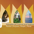 Maatskappy 7 beeld FIVE TULIPS Sustainability Reporting in Cape Town WC