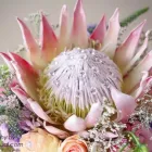 Business 5 image FLORA GLYNN FLORIST & GIFT SHOP Wreaths in Benoni GP