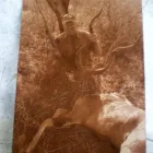 Business 5 image FRALENCO CARDS/ LASER Wedding Stationery in Roodepoort GP