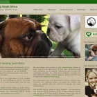 Business 4 image FREELANCE WEBSITE DEVELOPER Wordpress in Johannesburg GP