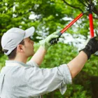 Maatskappy 5 beeld GARDEN SERVICES JOHANNESBURG Landscape in Johannesburg GP