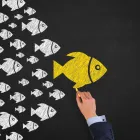 Maatskappy 2 beeld GOLDFISH CONSULTING Business Consultants in Sandton GP