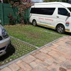 Business 6 image GRASS BLOCKS R US Grass Blocks in Cape Town WC