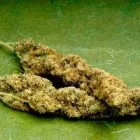 Business 7 image HARMONY ADDICTIONS CLINIC Drug Rehabilitation in Cape Town WC