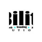 Business 1 image IBILITY Web Design in Cape Town WC