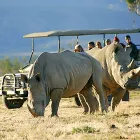 Maatskappy 2 beeld INVERDOORN GAME RESERVE E & IZIBA SAFARI LODGE Safari Lodges in Cape Town WC
