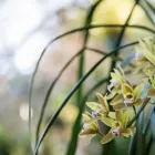 Business 4 image JEAN-LEE BED & BREAKFAST Self Catering in Pietermaritzburg KZN