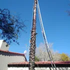 Maatskappy 2 beeld JUMANI TREE FELLING Tree Services in Johannesburg GP